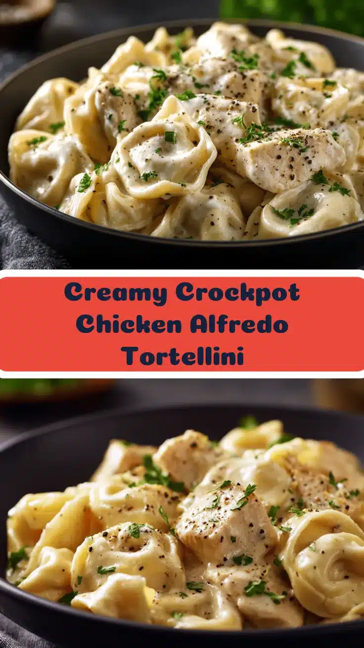 crockpot chicken alfredo tortellini recipe
