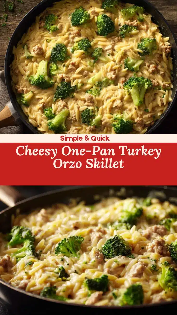 ground turkey orzo skillet recipe