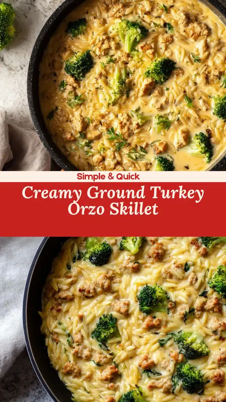 ground turkey orzo skillet recipe