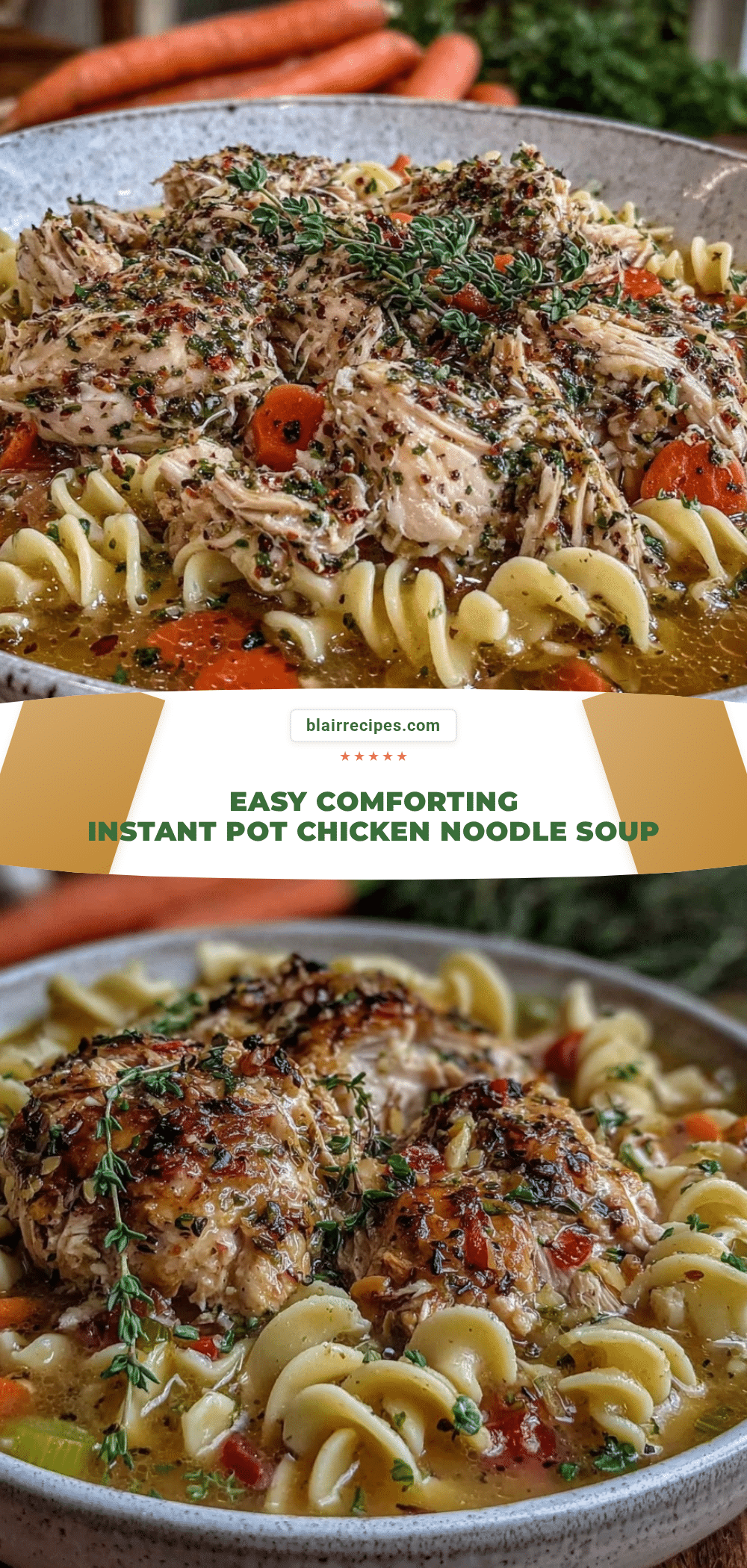 Instant Pot chicken noodle soup recipe