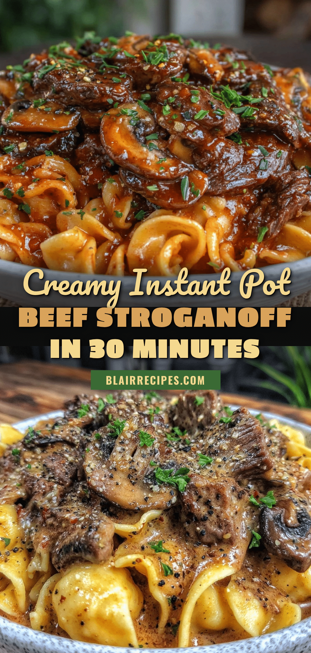 instant pot beef stroganoff recipe