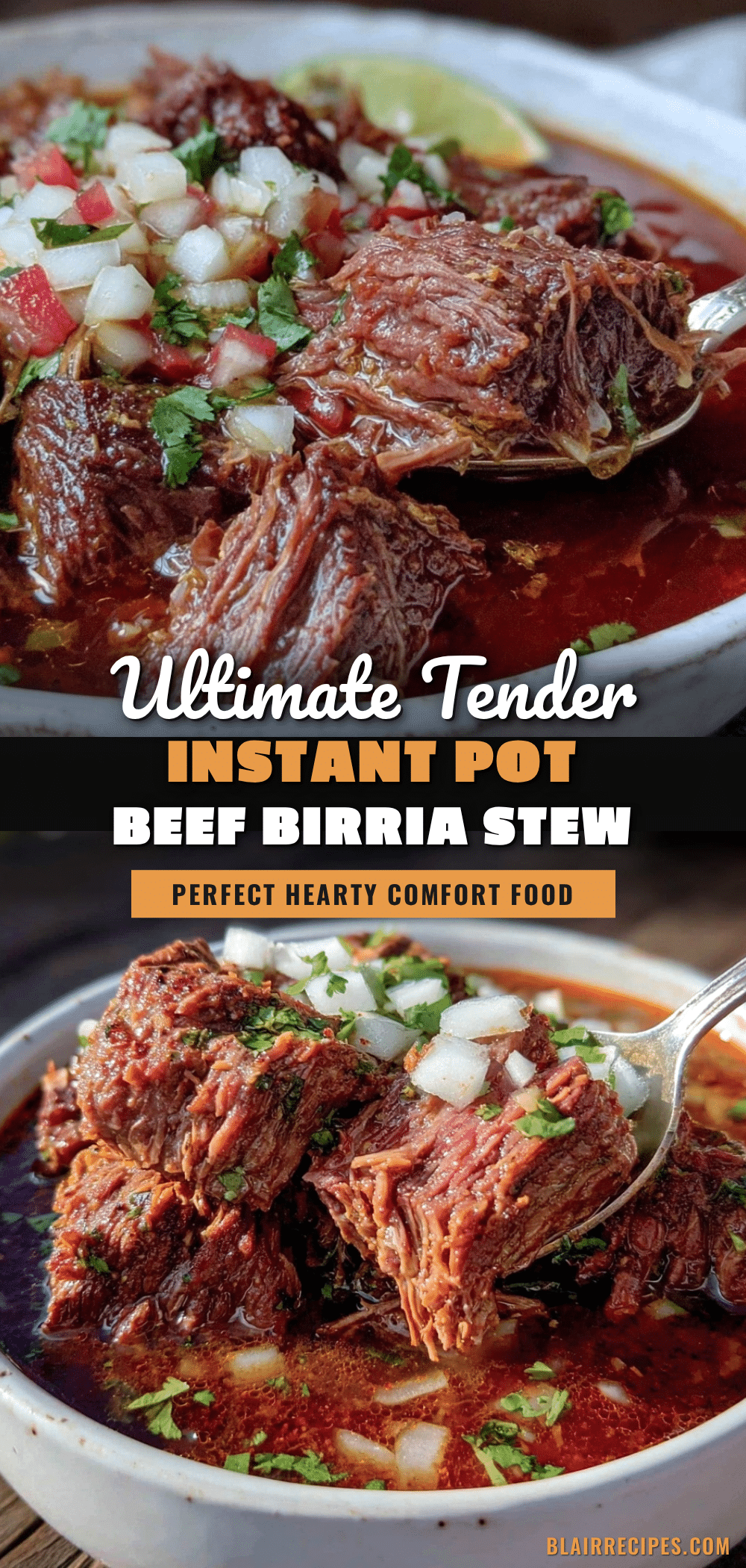 instant pot beef birria stew recipe